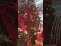 SM Dasmariñas Christmas November 15 2025