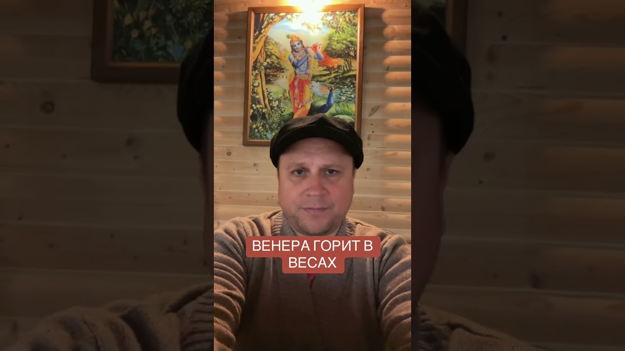 Венера горит в Весах. А я пытаюсь сохранить баланс.#венера #весы #баланс #юмор 