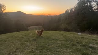 Nora Jones acoustic cover- The Grass Is Blue by Dolly Parton