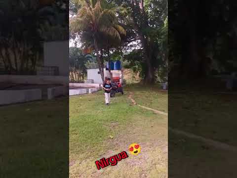 #venezuela #yaracuy #nirgua #viral