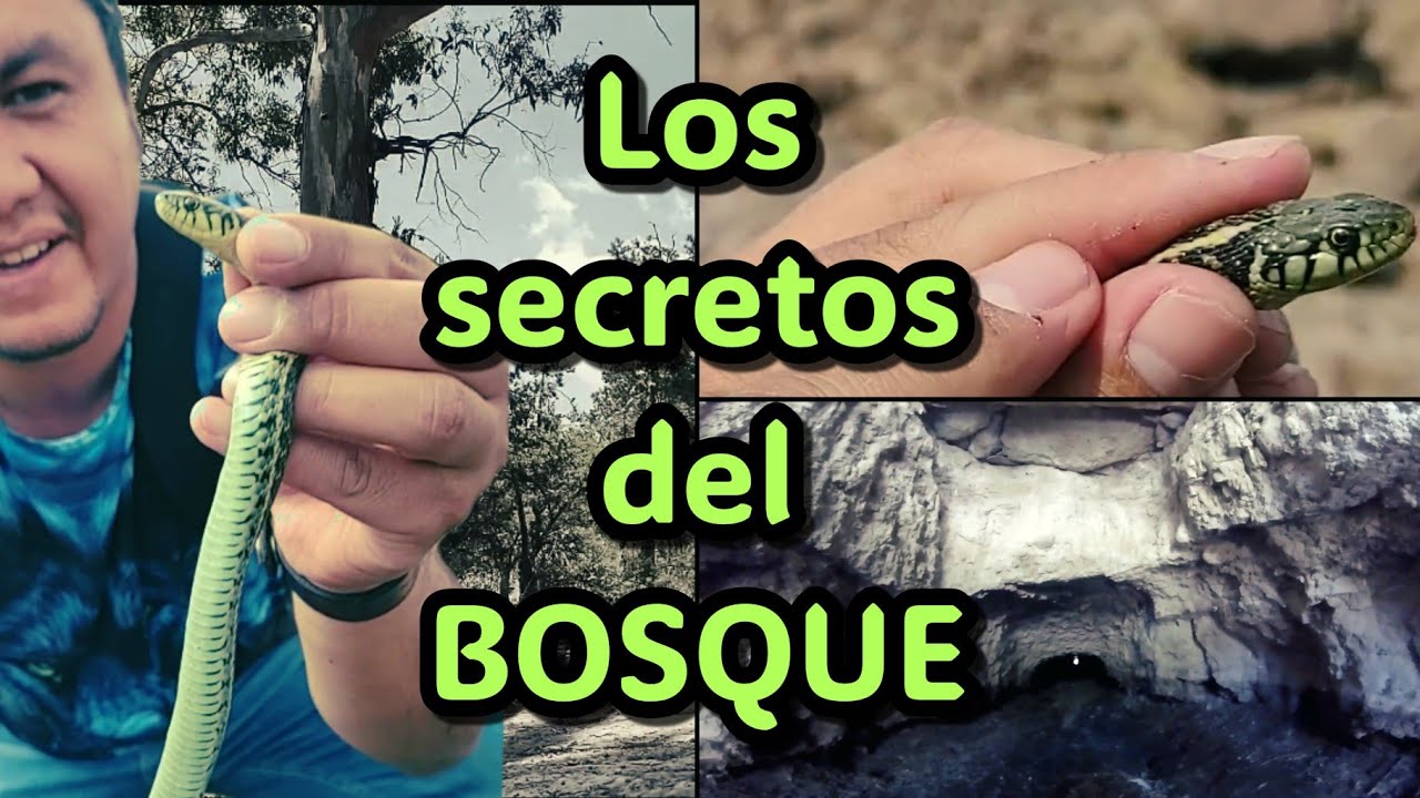 ASÍ FUÉ MI PRIMERA EXPLORACIÓN PARA EL CANAL