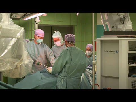 Häufige Krebserkrankungen: Magen – Darm – Lunge – Leukämien  | Krebsinfowochen 2021