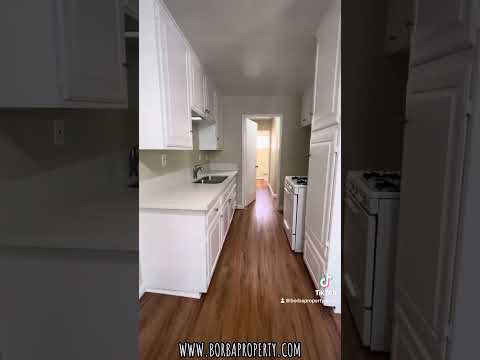 LB0560-TA2 (RUBS) - Video 2 of 2