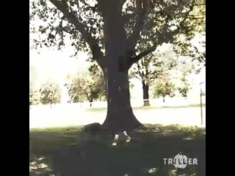 Maserati Merk- Gunna Project Intro - OLOZ MP3