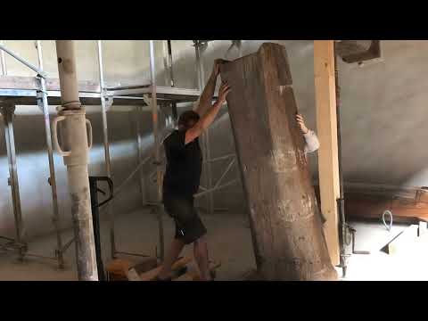 Museum Elephant (Enhanced 4K)