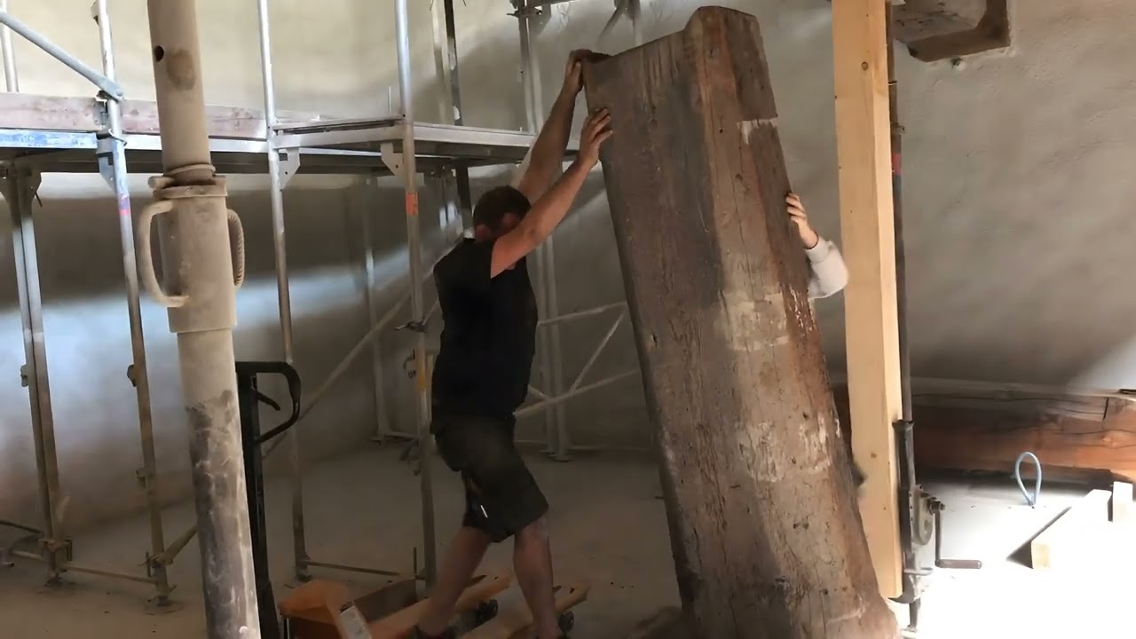 Museum Elephant (Enhanced 4K)