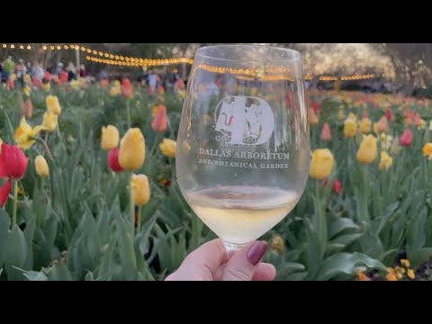 Dallas Arboretum Food & Wine Festival