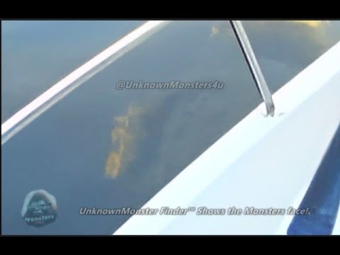 Bodette-Affolter Serpent Video July 2005 ABC News plus Image enhancement to show the monsters face!