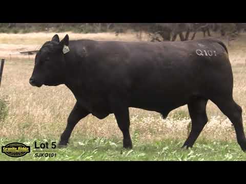 GRANITE RIDGE QUICKSILVER Q101