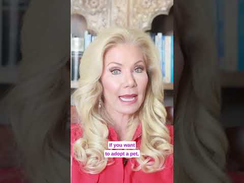 Video by Joni Patry