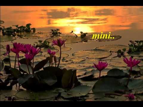 download lagu mp3 mp4 Kpa Lyrica Online, download lagu Kpa Lyrica Online gratis, unduh video klip Kpa Lyrica Online