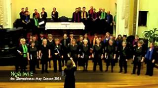 the Glamphones Nga Iwi E May Concert 2014