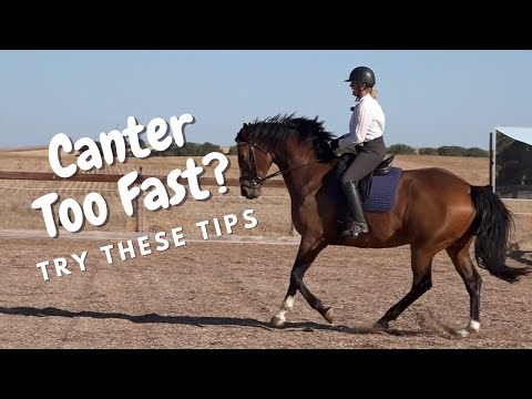 YouTube video about: How to slow down a horse's canter?