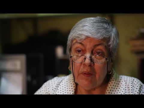 Tierranimal Amor Por los Gatos