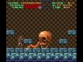Super Castlevania IV Boss 4 Puwexil No Upgrades Damage Subweapons