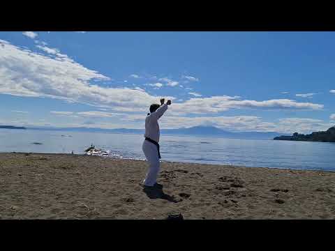 POOMSAE EXPEDITION 075. Jitae. Frutillar, Los Lagos, Chile #poomsae #frutillar #taekwondo 