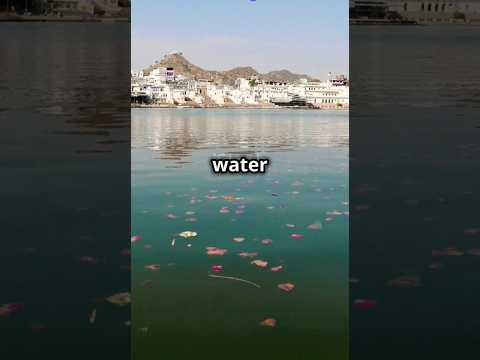 BINDU SAROVAR_ The Hidden Gem of Kutch-Bhuj #shorts #trending #ytshort #youtubeshorts