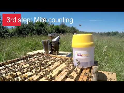 Varroa EasyCheck