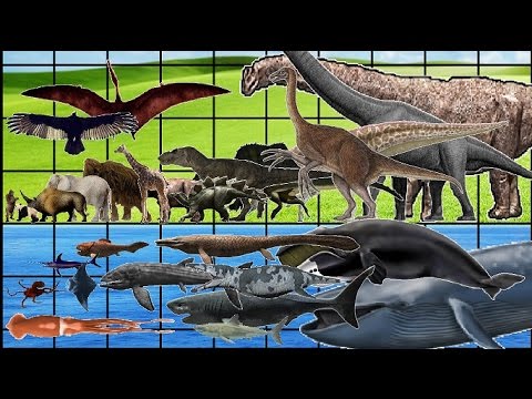 ALL Animals, Dinosaurs & Sea Monsters SIZE COMPARISON