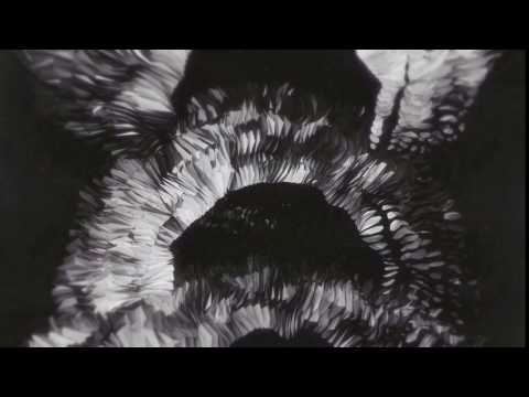 Fractal Harmony Vj Loop