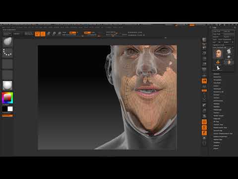ZBrush Expression reprojection Part 4