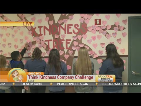 download lagu mp3 mp4 Campaign For Kindness, download lagu Campaign For Kindness gratis, unduh video klip Campaign For Kindness