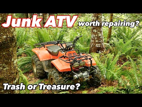 Quadrunner 250