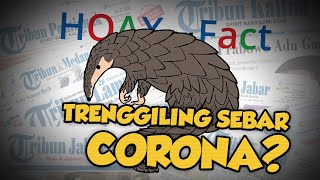 Hoax or Fact: Trenggiling dapat Menyebarkan Virus Corona?