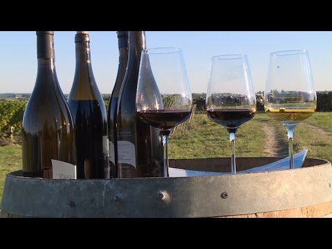 On the wine route: the beautiful history of the Loire vineyards