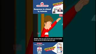 Response to stimuli by Animals | Learn Biology with Home Revise