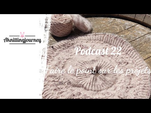 PODCAST #22: Taking Stock of the Projects