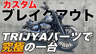 【カスタム】TRIJYAパーツで究極の一台　カスタムブレイクアウト