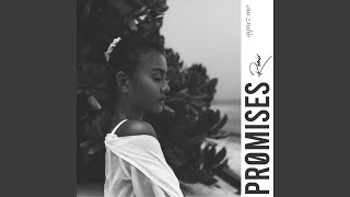 PROMISES (Remix)