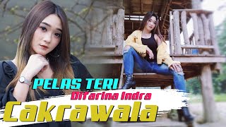 Download lagu Difarina - Pelasteri , Cakrawala mp3