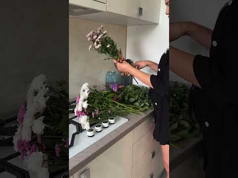 1st anniversary 🤍 #elvilex #humor #elviraandalex #funny #anniversary