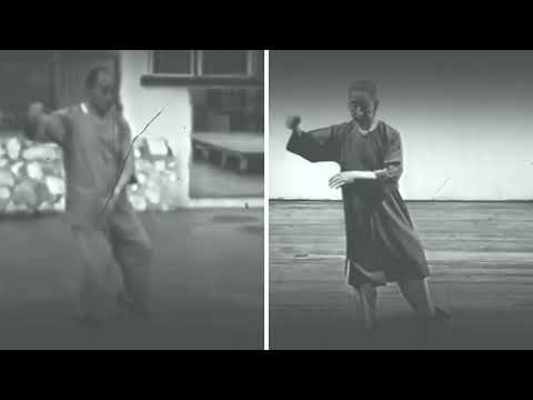 Huang Sheng-Shyan and Cheng Man-Ching 37 Step Tai Chi Form Side By Side Section 1