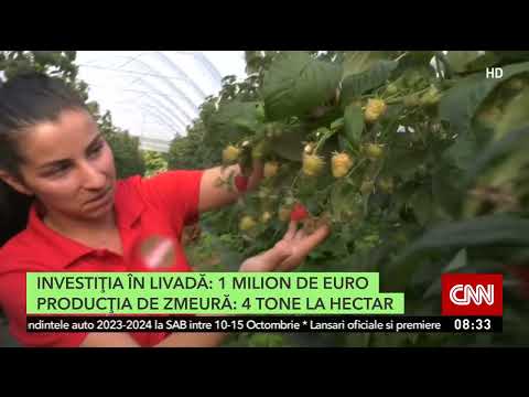 Afacerea BIO cu care o tânără familie de români a dat lovitura la Şinteu, în Bihor