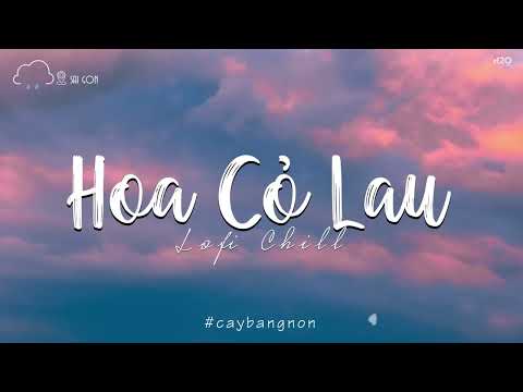 Giữa Mênh Mang Đồi Hoa Cỏ Lau...Phong Max ♫ HOA CỎ LAU Lofi | Nhạc Lofi Chill Hot TikTok 2023