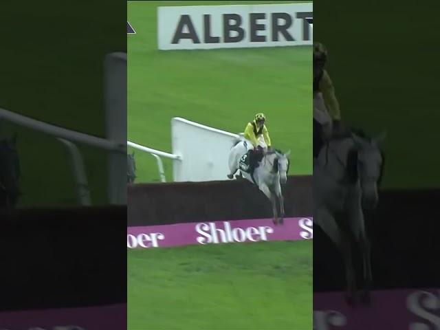 Thumbnail for Post ID: 2gL1NV9s1nY