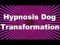 Hypnosis Dog Transformation