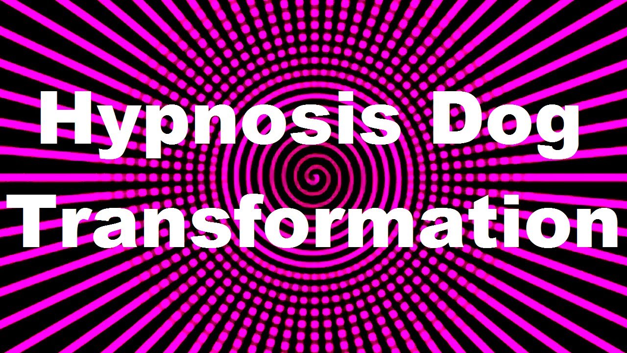 Hypnosis Dog Transformation