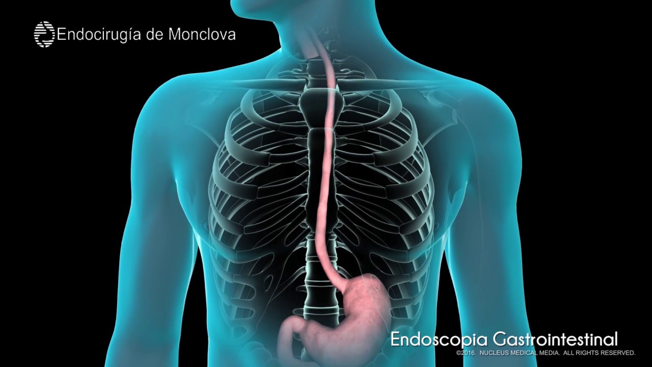 Luis Miguel Garza Huerta-11