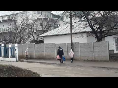 VASLUI - NOUA JUDECĂTORIE - de pe str. Ștefan cel Mare, din Moara Grecilor - vineri 13 ianuarie 2023