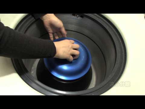 新熱帯エコゾーン: 学名別の種子植物 (G)について詳しく解説