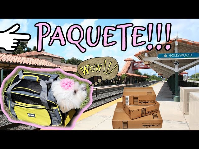 Vídeo relacionado con SPOTTED DOG GIFT COMPANY Tote Bag, Bolso Shopper Reutilizable para Mujer, Bolsa de Tela Grueso con Asas Largas, Plegable con Diseño de Gatos, Regalos para Amantes de los Gatos 38 x 42 cm