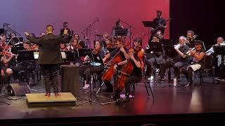 Paint It, Black performed by Denver Rock Orchestra
