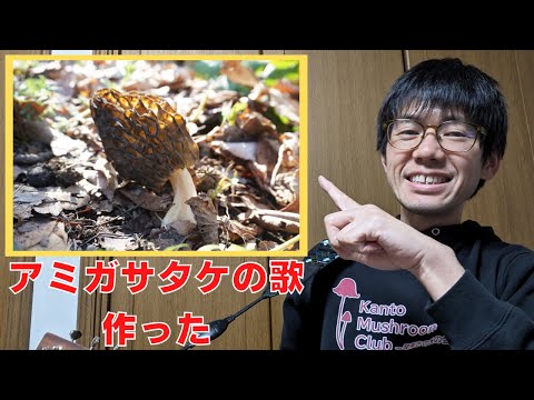 アミガサタケについて詳しく解説