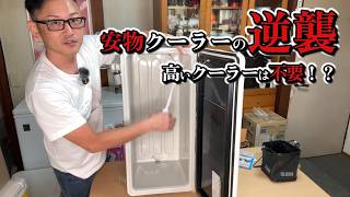 保冷力を諦めた先にある安物クーラーの最適解！高級クーラーを超越する「対偶の物理学」