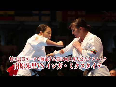 【新極真会】 南原が決勝で見せた完封テクニック！  SHINKYOKUSHINKAI