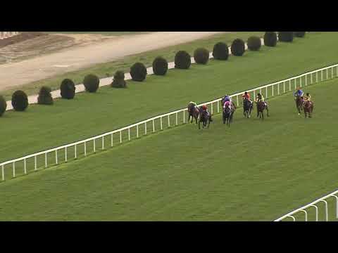 7. dostih - CENA PADDOCKU - dostihy Velká Chuchle 7. 4. 2019